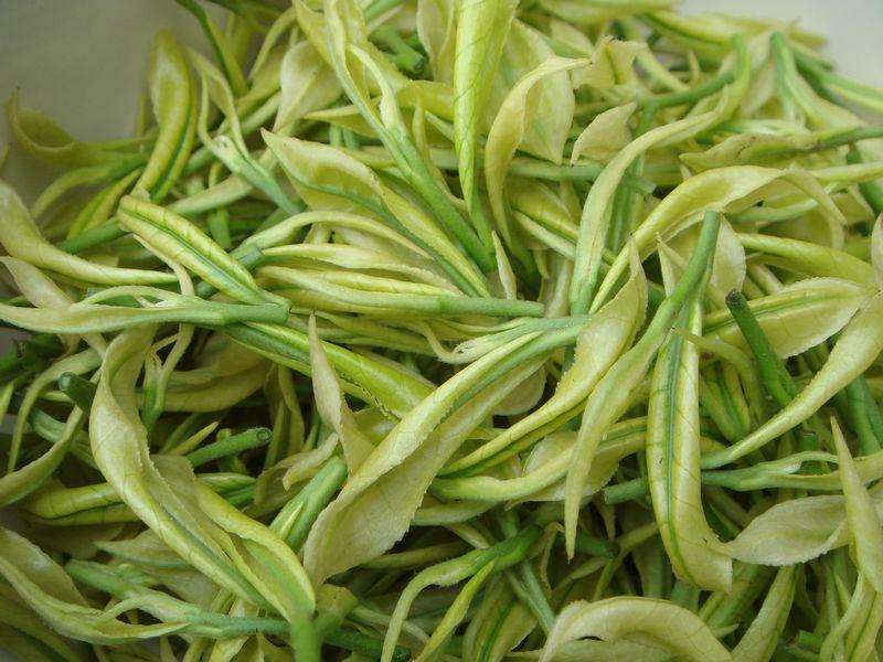 茶叶的种类,茶叶的分类?